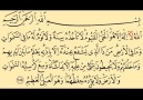 HATTAT Mehmet Arif Vural - Ayet&- Mehmet Arif VURAL Facebook