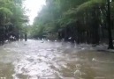 Have you seen something like this before )