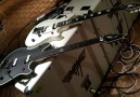 Having fun making animal noises on my new Wolfgang USA Signature Guitars.