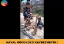 HAYAL GÜCÜNÜZÜ KAYBETMEYİN !