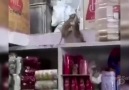 Hayalhanem - Karadenizli bakkal dükkanında kavga eden...