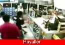 Hayaller & Hayatlar