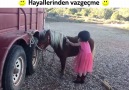 Hayallerinden Vazgeçme ) )