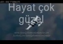 HAYAT ÇOK GÜZEL OLUMLAMA VİDEOSU