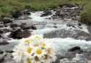 Hayat öyle bir yoldurki bazen bu yolda ayaklarından çok yüreğin yorulur...