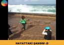 HAYATTAKİ ŞANSIM D