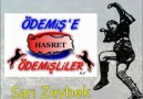 Hayde Bre Efeler ~ Sarı Zeybek ~