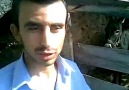 Haydi Karakızım! (Eşek dile geldi)  :)