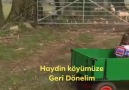 Haydin köyümüze geri dönelim - Yanlız seni sevdim