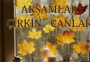 Hayırlı Aksamlar dilerim