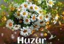 Hayırlı Akşamlar Efenim..İsmail Şafak.