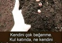 Hayırlı cumalarallahın rahmetive bereketi üzerinize olsun