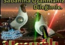 ().. HAYIRLI GECELER().. ALLAHa EMANET OLUN