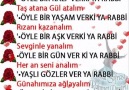 Hayırlı Kandiller Şiir Sokağim ..... Güz Gülleri