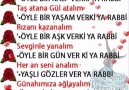 Hayırlı Kandiller Şiir Sokağim ..... Güz Gülleri