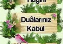 Hayırlı Sabahlar Hayırlı Cumalar