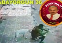 Hayrettin Altun - OTURAN ADAMIN ÜSTÜNE KÖPEK İŞERSE...