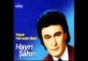 HAYRİ ŞAHİN & HAYAT SEN NE ÇABUK HARCADIN BENİ