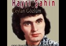 Hayri Şahin - Ceylan Gözlüm - 1975