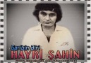 Hayri Şahin - Garibin Biri - 1981