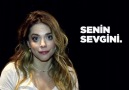 HaySev Derneği - Hayvan Severler - SATIN ALMA SAHİPLEN Facebook