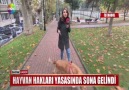 Hayvan hakları yasasında sona gelindi