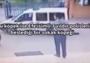 Hayvan Katili...!!!