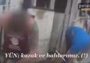 Hayvan katliamı!!!