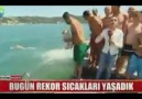 Hayvanseverleri delirten video.