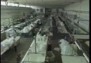 Hazır  giyim üretim tanıtım video'su