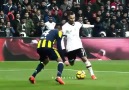 Hazır mısınız Feneronline