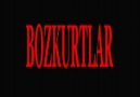 Hazır Olun Bozkurtlar.!!!