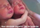 HB Gayrimenkul - Bu ikizler henüz doğduklarının farkında...