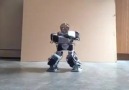 Hebat.. Robot buka Bunga Tanjung..