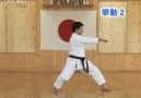 HEIAN-GODAN KATA - SHOTOKAN KARATE