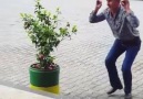 HEMŞERİM TAM ÇILGIN ...