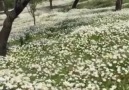 Hep birlikte yeni güne Merhaba ))