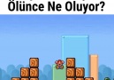 Hep merak etmişimdir. Oyunlarda ölünce ne oluyor diye )