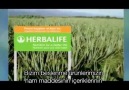 Herbalife'ın Arkasındaki #Bilimin gücünü gördünüz mü? #izle ve...