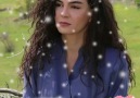 Hercai - Sordum kalbime... &quotbu aşk beni iflah edermi diye...