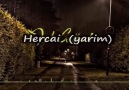 Hercai (yarim) 2014