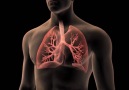 Here are various treatment methods for lung cancer