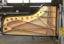 Heres how the best pianos in the world are made.