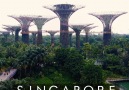 Heres why Singapore should be on your bucket list