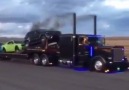 Here&truck and plenty of money - Peterbilt and Kenworth Enthusiasts