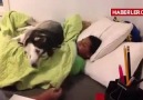 Her İnsana Böyle Bir Dost Lazım...