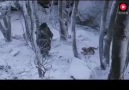 Her iyilik karşılığını mutlaka bulur.