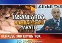 Herkese 300 Koyun Demedik ki