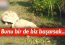 HERKESİN GÖRMESİ İÇİN PAYLAŞIMINIZIRİCA EDİYORUZ...