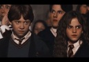 Hermione & Draco - HP saga.
